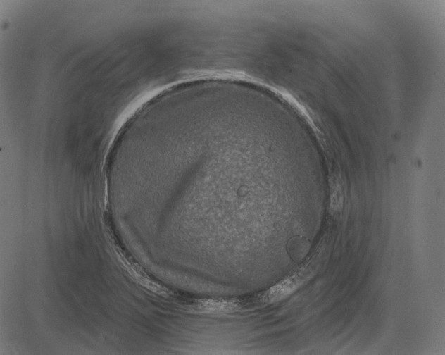 X0000082711271200702091738