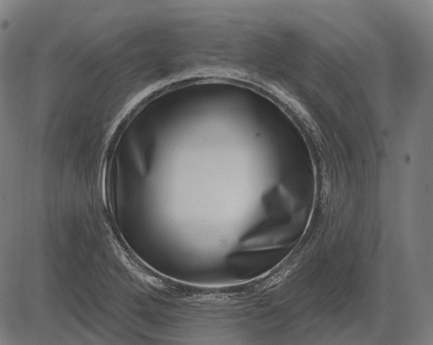 X0000082711272200702091738