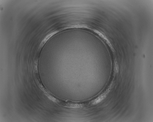 X0000082711273200702091738