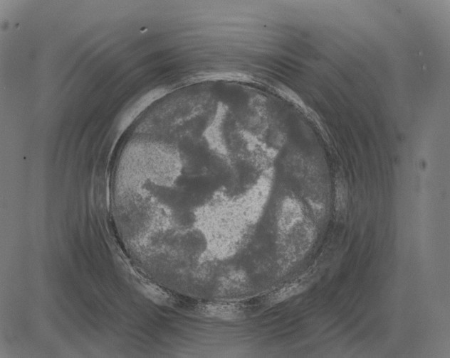 X0000082711274200702091738