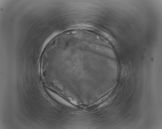 X0000082711275200702091738