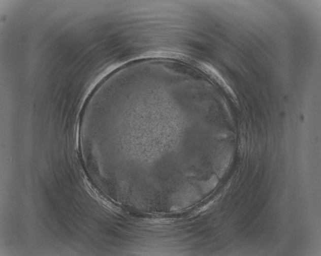 X0000082711276200702091738