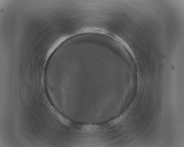 X0000082711277200702091738