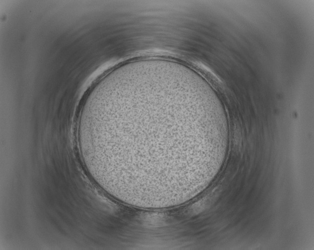 X0000082711278200702091738