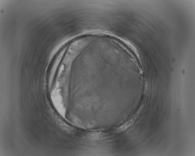 X0000082711279200702091738