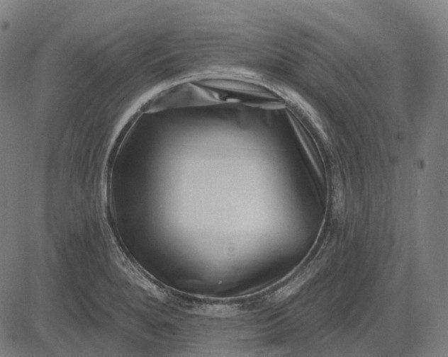 X0000082711280200702091738