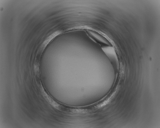 X0000082711281200702091738