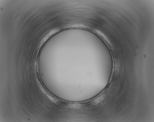 X0000082711282200702091738