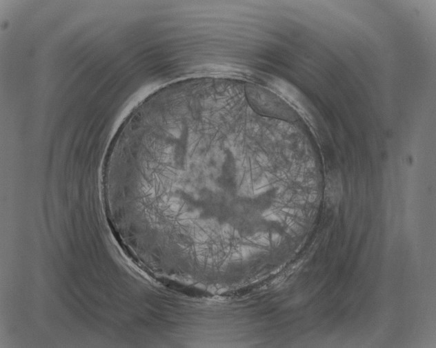 X0000082711283200702091738