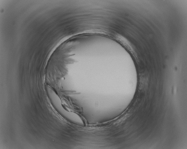 X0000082711284200702091738