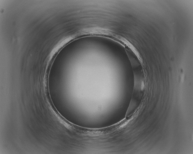 X0000082711285200702091738