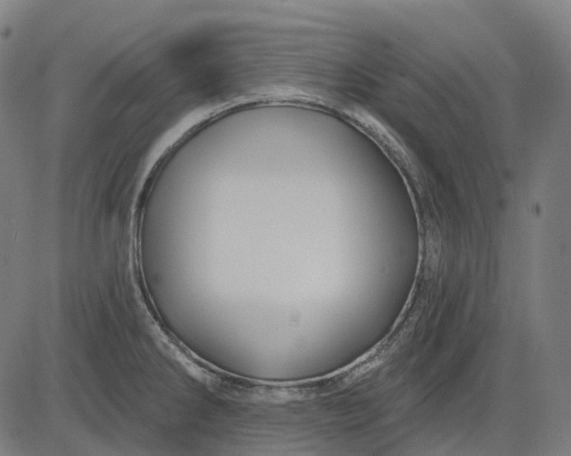 X0000082711286200702091738