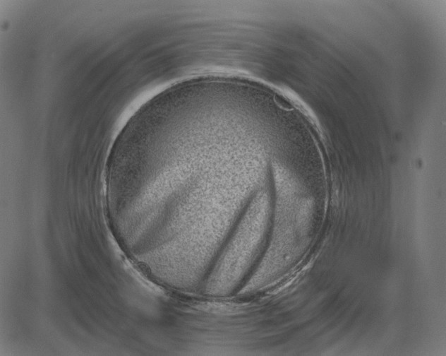 X0000082711287200702091738