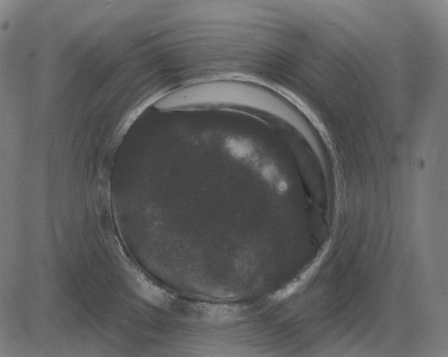 X0000082711289200702091738