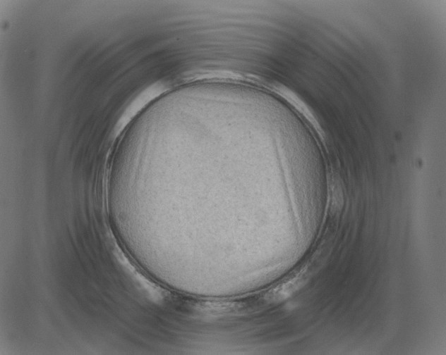 X0000082711290200702091738