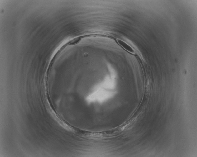 X0000082711291200702091738