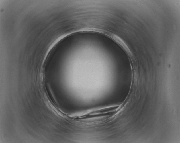 X0000082711292200702091738