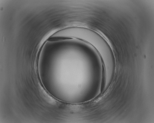 X0000082711293200702091738