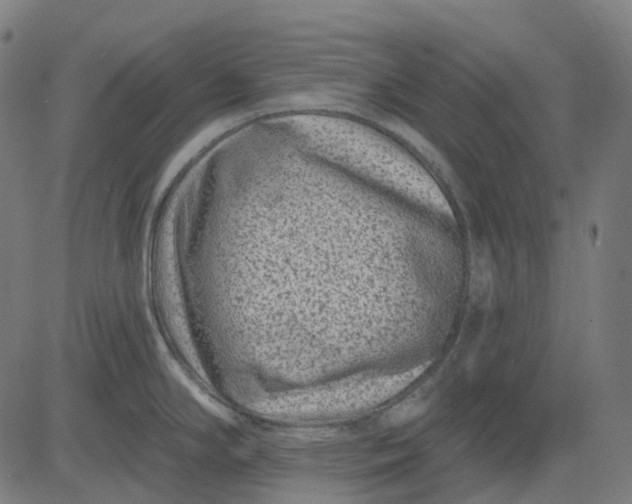 X0000082711294200702091738