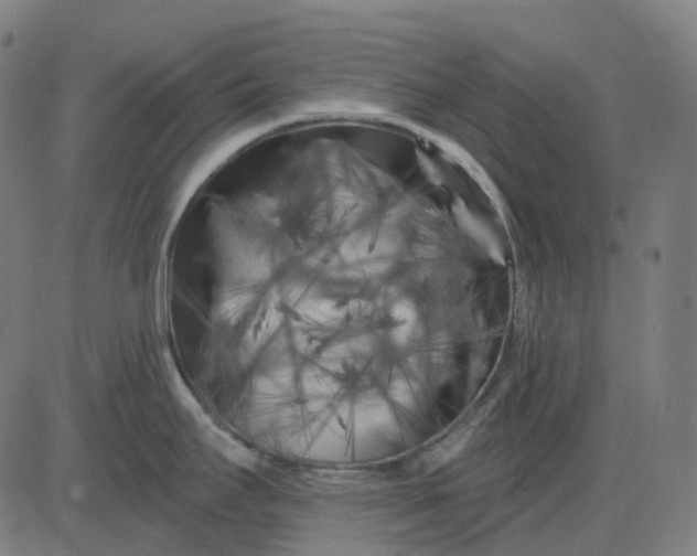 X0000082711295200702091738