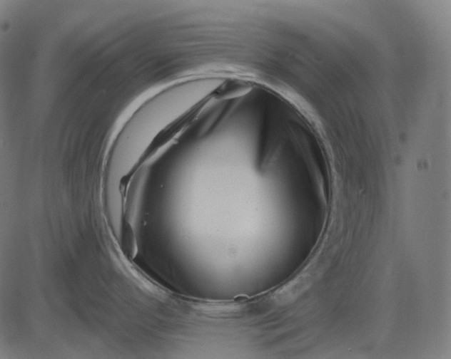 X0000082711296200702091738