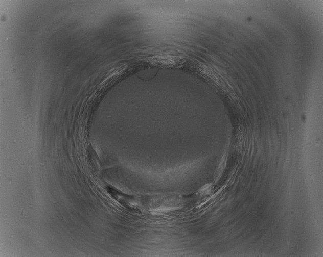 X0000082711297200702091737