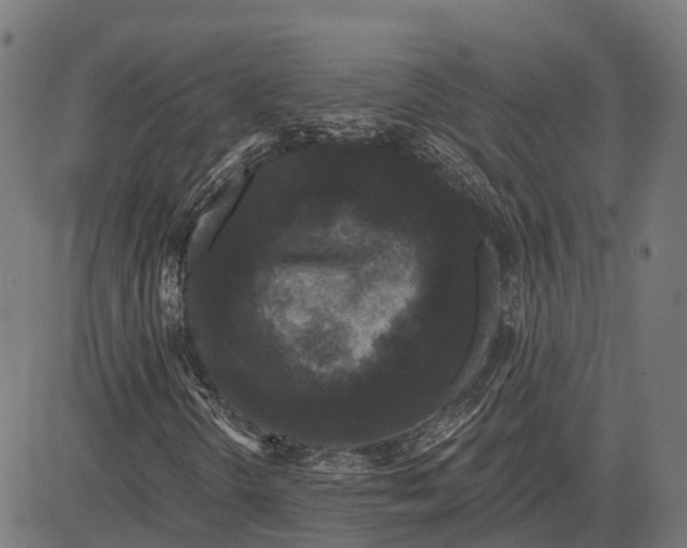 X0000082711298200702091737