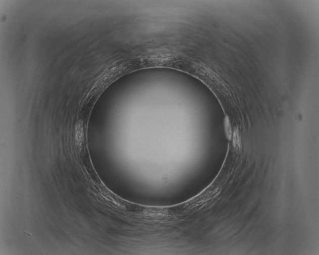 X0000082711299200702091737