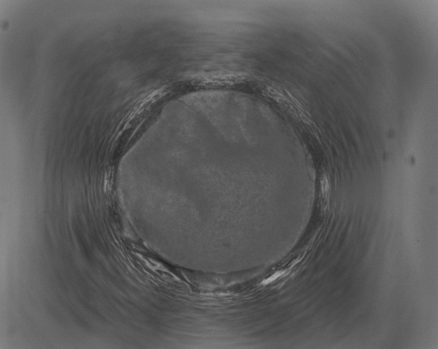 X0000082711300200702091737