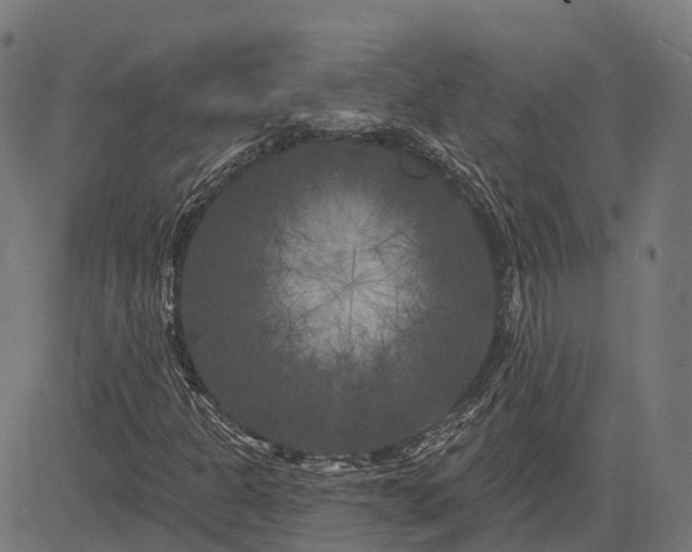 X0000082711301200702091737