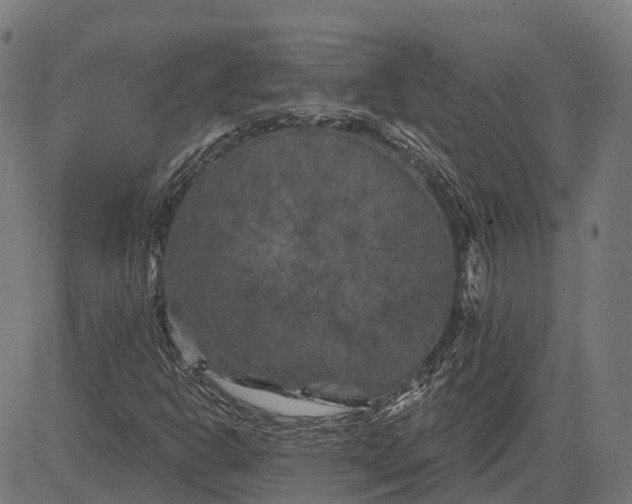 X0000082711302200702091737