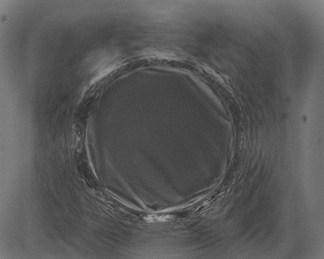 X0000082711303200702091737