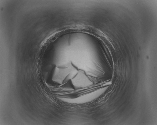 X0000082711304200702091737