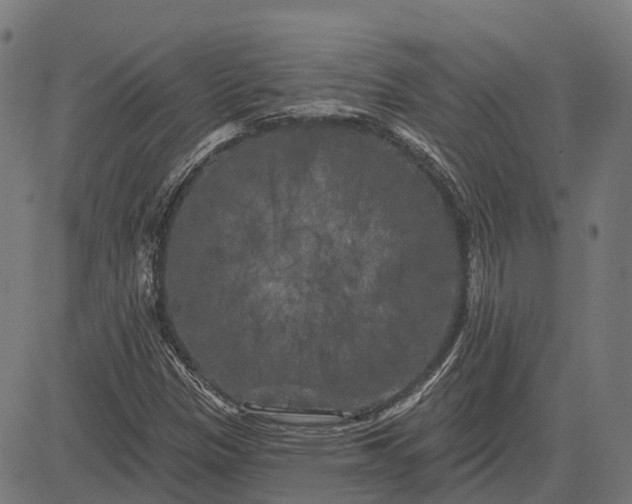 X0000082711305200702091737