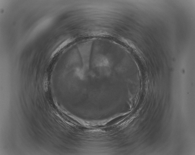 X0000082711306200702091737