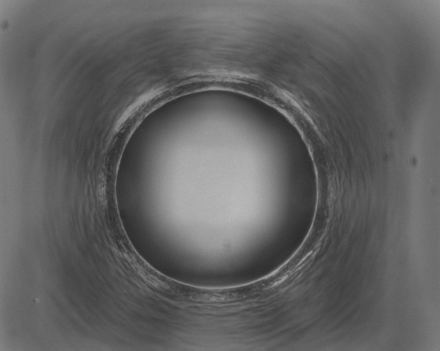 X0000082711307200702091737