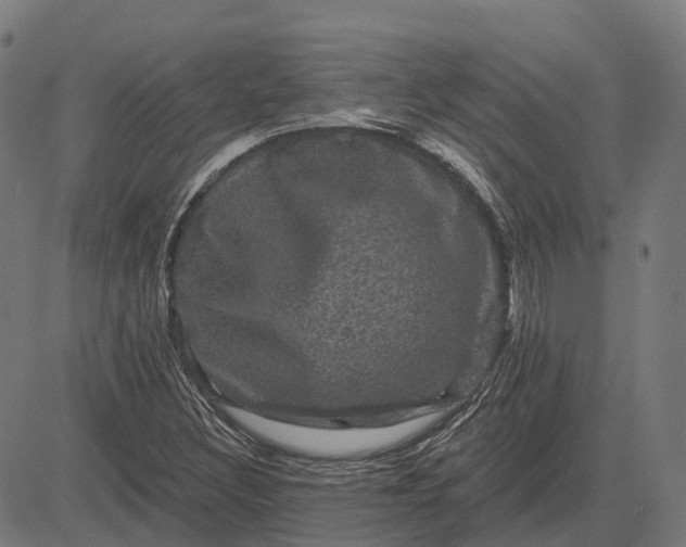 X0000082711308200702091737