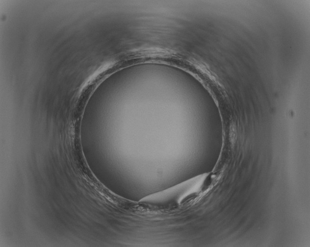 X0000082711309200702091737