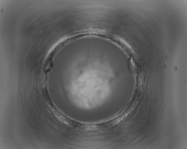 X0000082711310200702091737