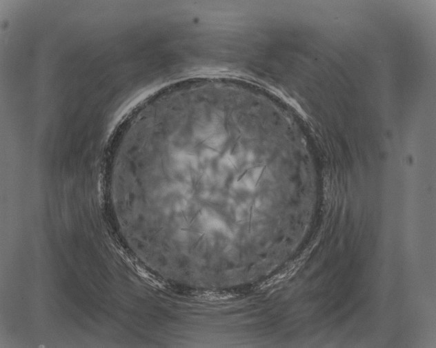 X0000082711311200702091737