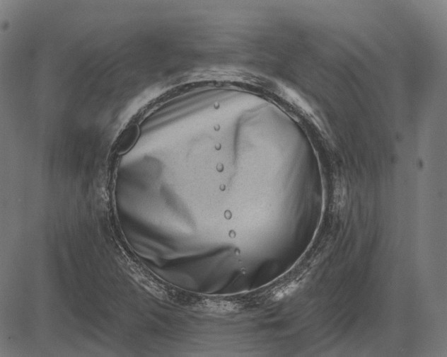 X0000082711312200702091737