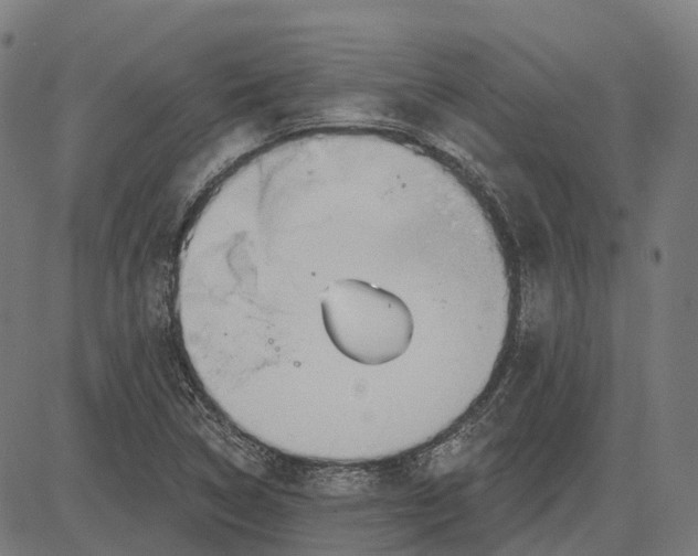 X0000082711314200702091737