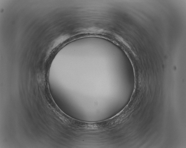 X0000082711315200702091737