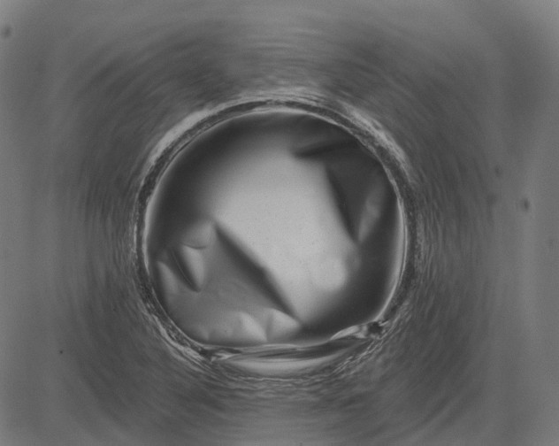 X0000082711316200702091737