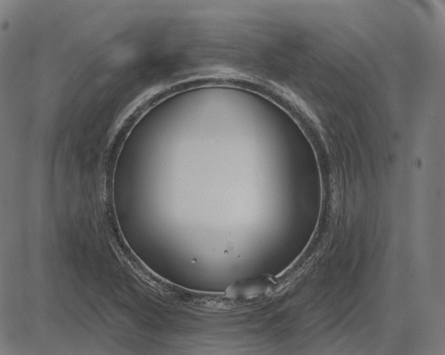 X0000082711318200702091738