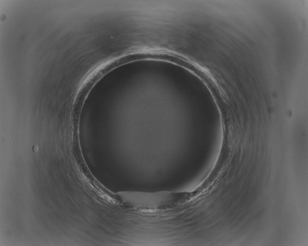 X0000082711319200702091738