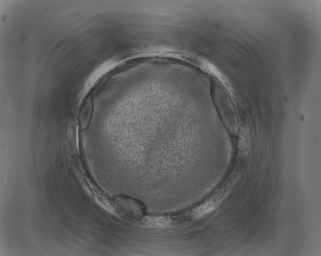 X0000082711320200702091738