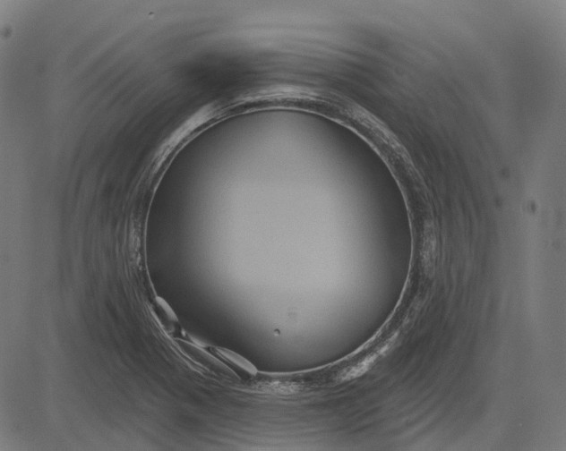 X0000082711321200702091738