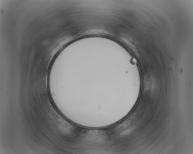 X0000082711322200702091738