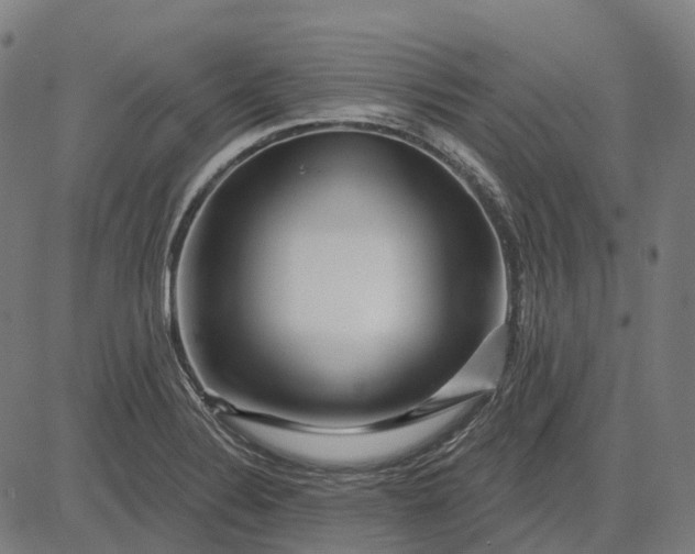 X0000082711324200702091738